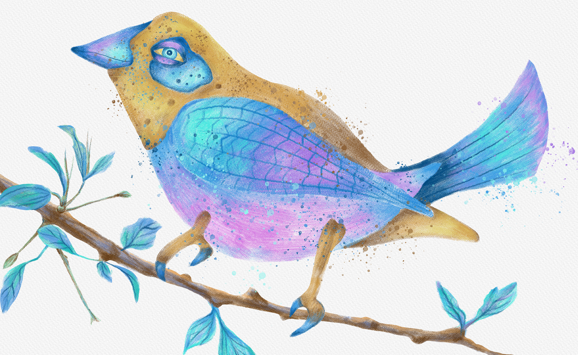 bird illustrations, animal illustrations, art for licensing, art licensing, brisbane artist, illustrator for hire
